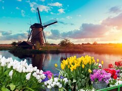 Olanda, escorte, fara detalii incorecte, fara pierdere de timp castig rapid