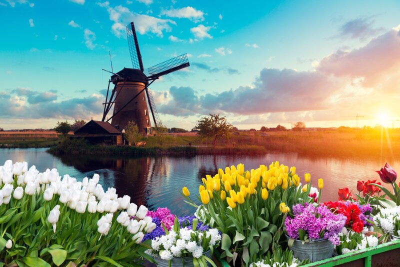 Olanda, escorte, fara detalii incorecte, fara pierdere de timp castig rapid