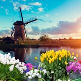 Olanda, escorte, fara detalii incorecte, fara pierdere de timp castig rapid